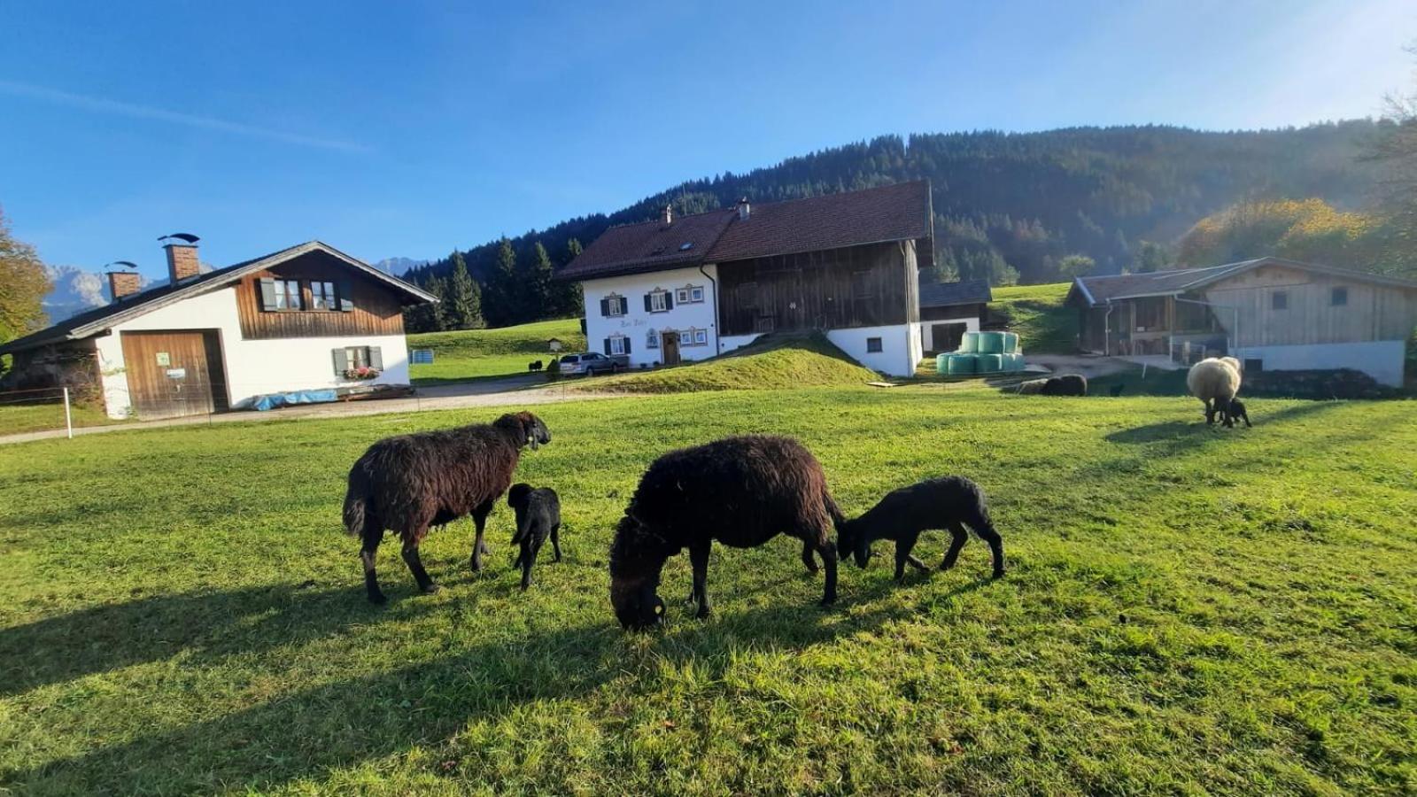 Bauernhaus Jocher Krün Екстериор снимка